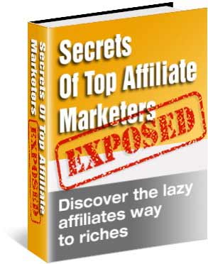 It Could Take Years... but instead of killing yourself to try and come up with the winning combination of being a top affiliate marketer, you can now steal the winning formula from the top affiliate marketers